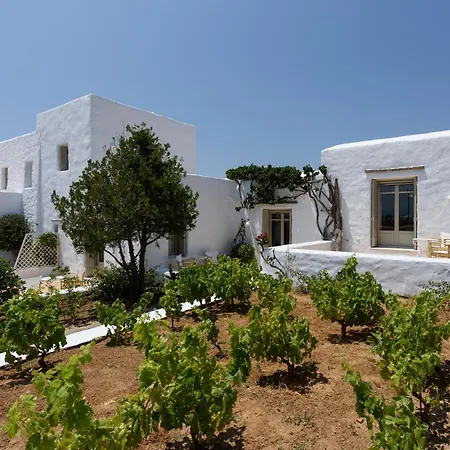 Vinea Paros بوسي لِفاذي