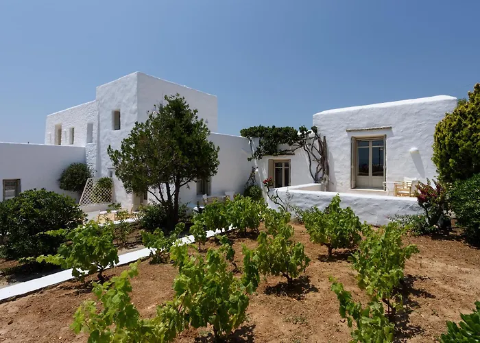 Vinea Paros Píszo Livádi